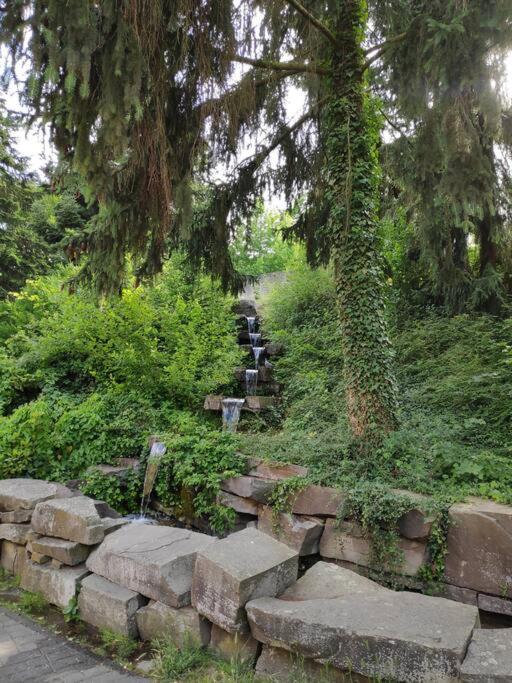 Das Hideaway Zum Seele Baumeln Lassen ! Bad Muenstereifel Dış mekan fotoğraf